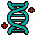 dna, structure, strand, genetic, microbiology, chromosome, biology
