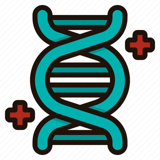 Dna, structure, strand, genetic, microbiology, chromosome, biology icon - Download on Iconfinder