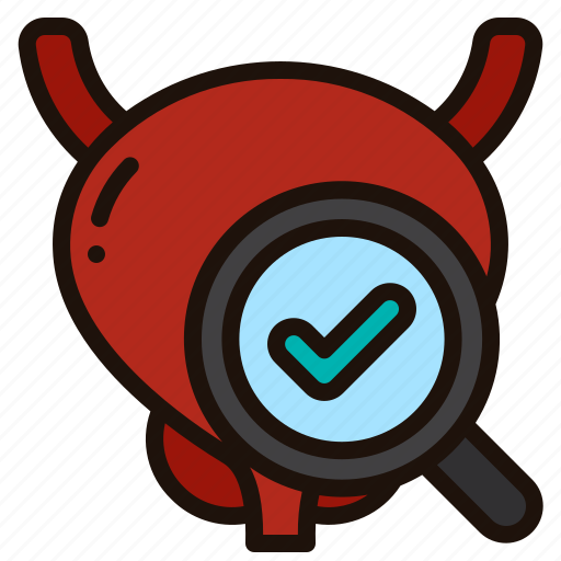 Prostate, exam, check, health, checkup, organ, medical icon - Download on Iconfinder