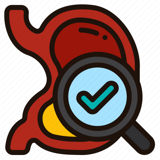 Stomach, exam, check, health, checkup, organ, medical icon - Download on Iconfinder