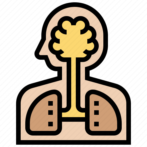 Body, health, human, internal, organ icon - Download on Iconfinder