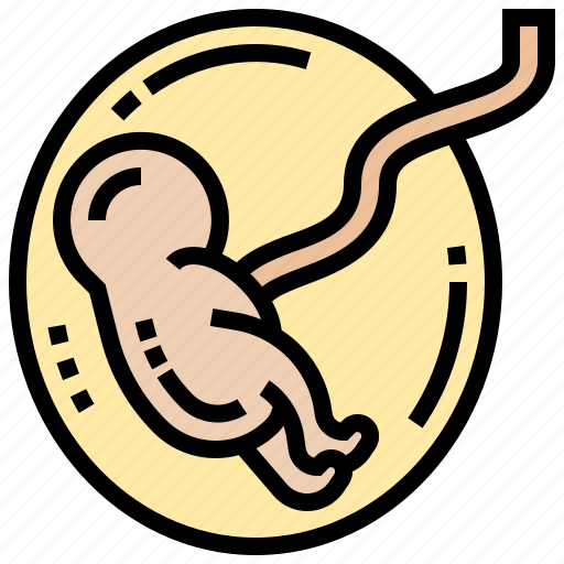 Child, mother, pregnancy, unborn, womb icon - Download on Iconfinder