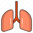body, breath, lungs, medical, organ