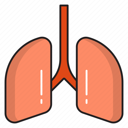 Body, breath, lungs, medical, organ icon - Download on Iconfinder