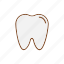 demtist, dental, gum, oral, teeth, tooth 
