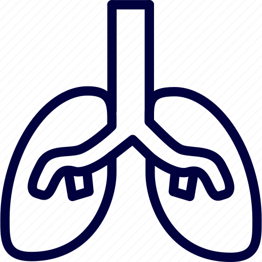 Breathing, bukeicon, health, lung, organs icon - Download on Iconfinder