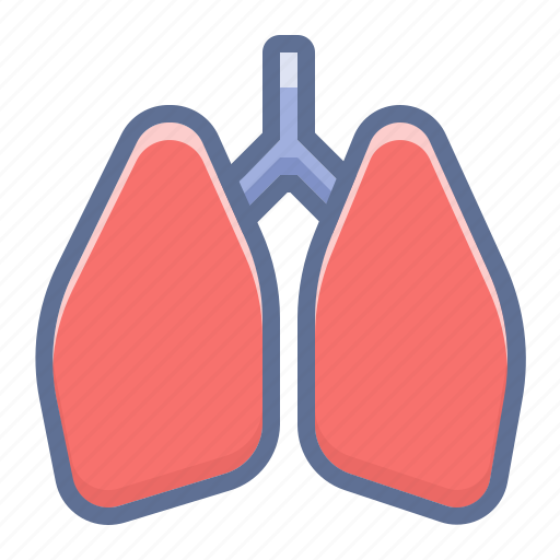 Lungs, pulmonologist, pulmonology icon - Download on Iconfinder