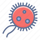 bacterium, microbe, virus