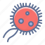bacterium, microbe, virus 