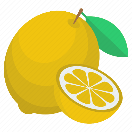 Citrus fruit, food, fruit, lemon, lemon slice icon - Download on Iconfinder