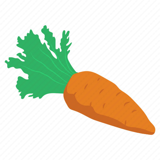 Carrot, food, nutritious meal, radish, vegetables icon - Download on Iconfinder