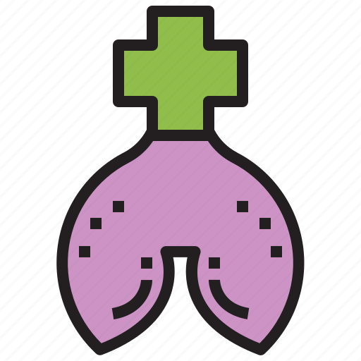 Liver, healthcare and medical, anatomy, body parts, organ icon - Download on Iconfinder