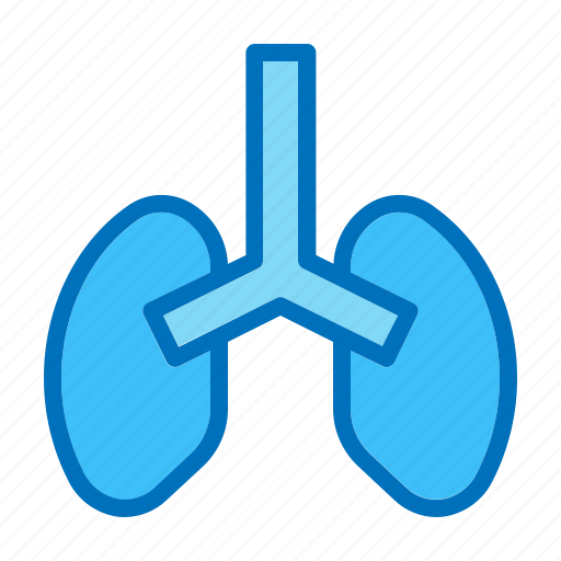 Cancer, heart, hospital, lungs, medical, medicine icon - Download on Iconfinder