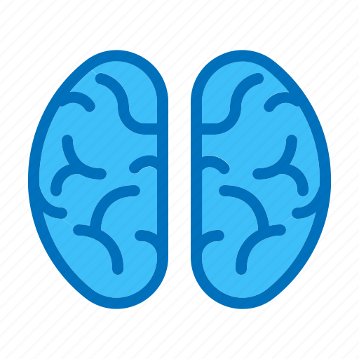 Brain, creativity, head, idea, innovation, mind, thinking icon - Download on Iconfinder