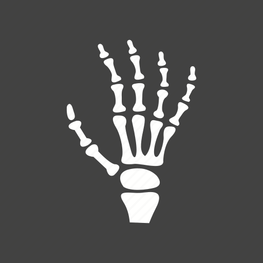 Bones, examination, fingers, hand x-ray, image, radiology, skeleton icon - Download on Iconfinder