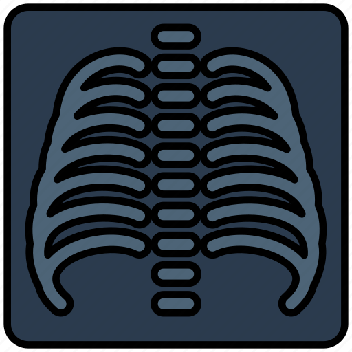 Healthcare, x-ray, medical, report, radiology icon - Download on Iconfinder