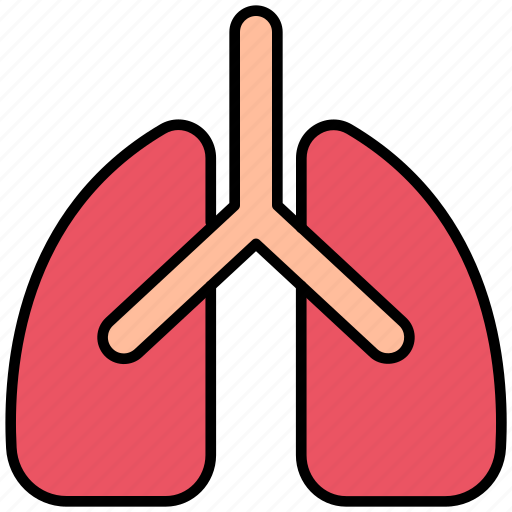 Healthcare, lungs, organ, anatomy, medical icon - Download on Iconfinder