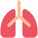 healthcare, lungs, organ, anatomy, medical