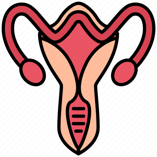 Healthcare, gynecology, female, vagina, medical icon - Download on Iconfinder