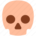 healthcare, skull, skeleton, death, anatomy