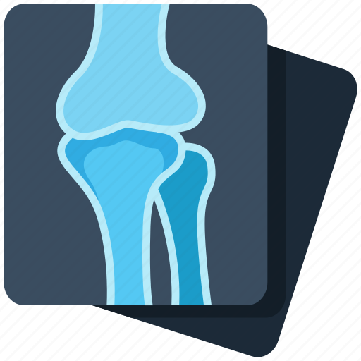 Healthcare, x-ray, bone, medical, report icon - Download on Iconfinder
