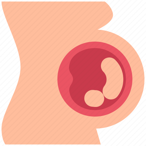 Healthcare, pregnant, baby, mother, pregnancy icon - Download on Iconfinder