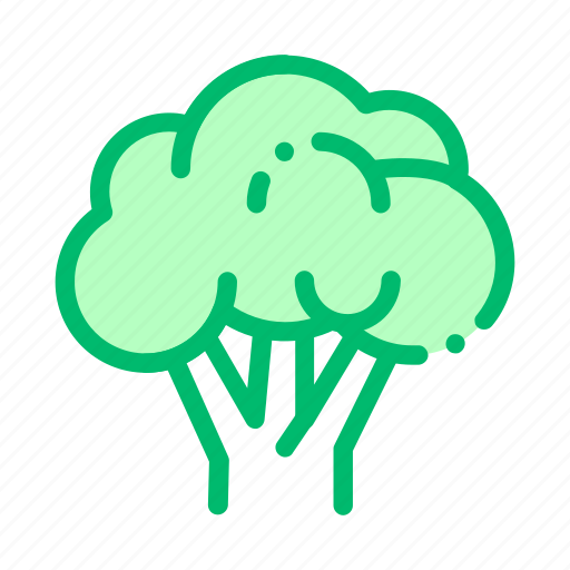 Food, healthy, rapini, vegetable icon - Download on Iconfinder