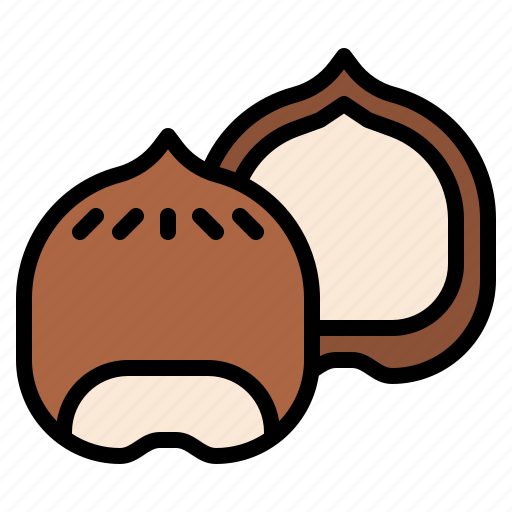 Hazelnut, nut, healthy, food icon - Download on Iconfinder