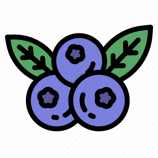 Blueberry, fruit, nutrition, healthy, food icon - Download on Iconfinder