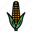 corn, sweet, plant, food, farming 