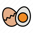 egg, food, boiled, protein, healthy