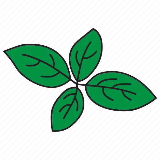 Basil, food, green, healthy, herb, mint, salad icon - Download on Iconfinder
