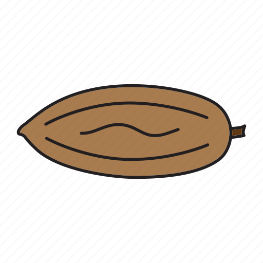 Cocoa bean, diet, food, healthy, nut, vegan, vegetarian icon - Download on Iconfinder