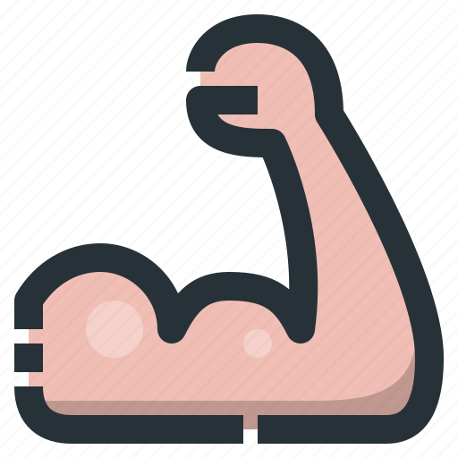 Arm, bicep, healthy, muscle, power, strong icon - Download on Iconfinder
