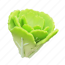 lettuce, healthy, lifestyle 
