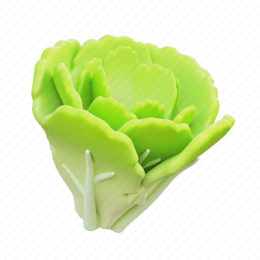 Lettuce, healthy, lifestyle 3D illustration - Download on Iconfinder