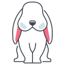 rabbit, animal, pet, jumping, cute, fur, easter, jump