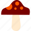 mushroom, recipe, food, fall, autumn 