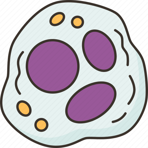 Neutrophil, immune, cells, infection, medical icon - Download on Iconfinder