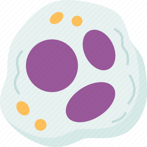 Neutrophil, immune, cells, infection, medical icon - Download on Iconfinder