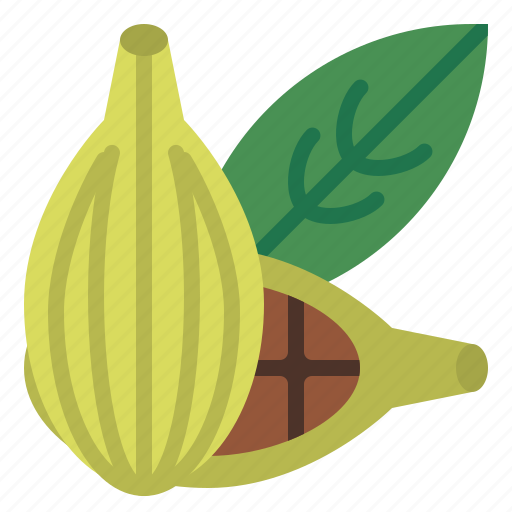 Cardamom, herb, spice, healthy, seed icon - Download on Iconfinder