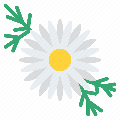 Chamomile, herb, spice, healthy, flower icon - Download on Iconfinder