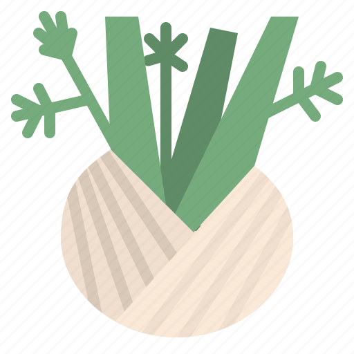Fennel, herb, spice, healthy, vegetable icon - Download on Iconfinder