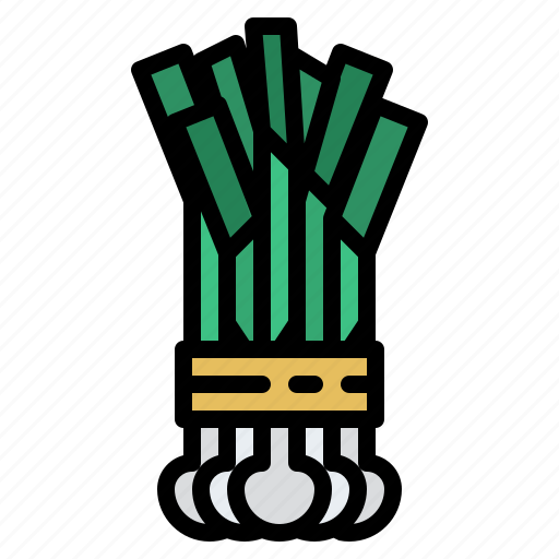 Chives, herb, spice, healthy, vegetable icon - Download on Iconfinder