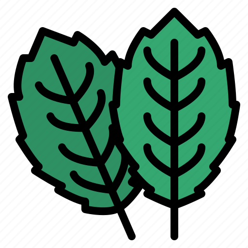 Mint, herb, spice, healthy, ingredient icon - Download on Iconfinder