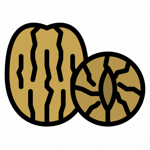 Nutmeg, herb, spice, healthy, seed icon - Download on Iconfinder