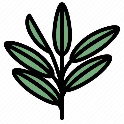 Sage, herb, spice, healthy, leaves icon - Download on Iconfinder