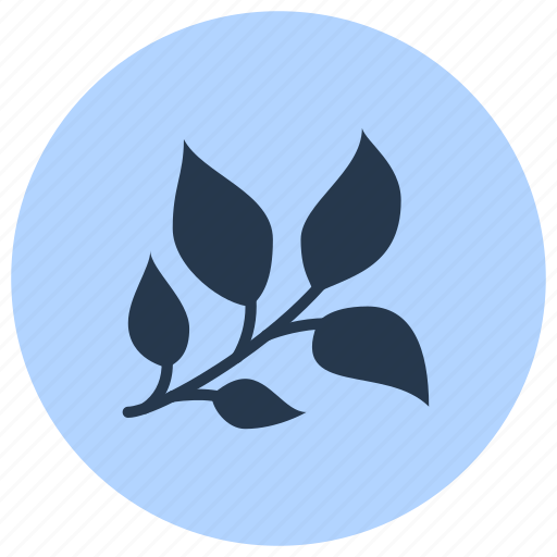 Basil, herb, medicinal, plant icon - Download on Iconfinder