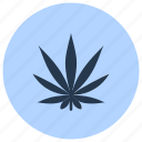 cannabis, herb, medicinal, plant