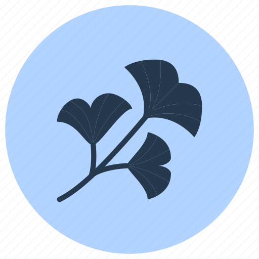 Ginkgo, herb, medicinal, plant icon - Download on Iconfinder